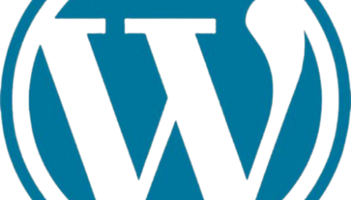 WhatsApp_Image_2026-06-24_at_9.02.42_PM-removebg-preview